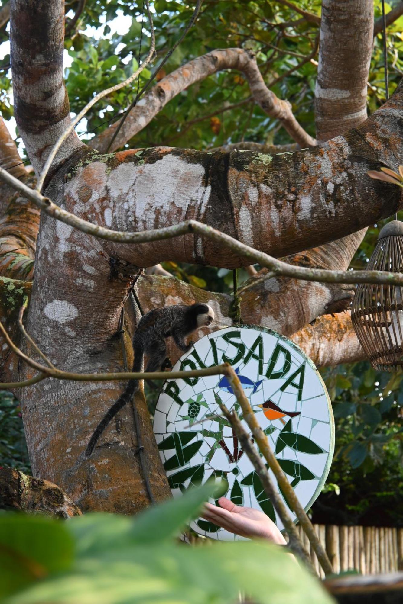 Pousada Habitat Caraíva Eksteriør bilde